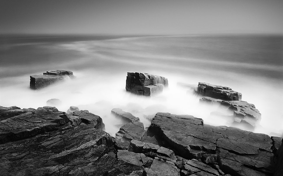 grayscale photography HD wallpaper