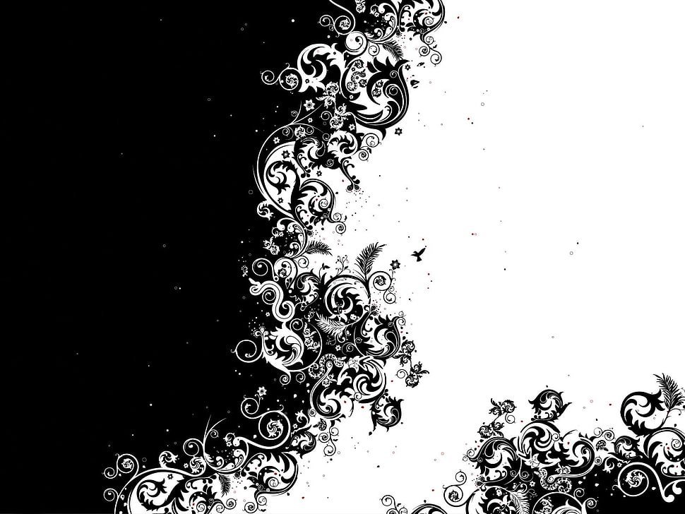 white and black floral illustration HD wallpaper