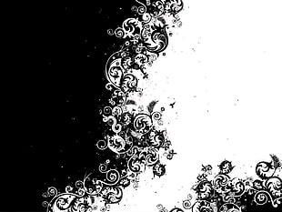 white and black floral illustration HD wallpaper