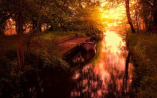 brown canoe beside dock painting, nature, landscape, sunset, trees