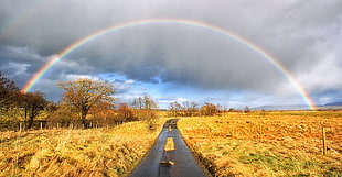 road way on plane field with rainbow during daytime