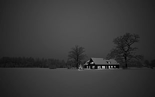 black and gray house, snow, house, dark, brown