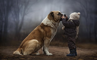 large short-coated white and brown dog, dog, children, forest