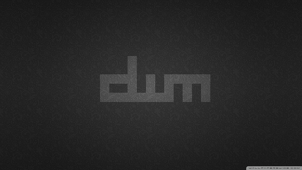 white and black text print wall decor, Linux, dwm, minimalism HD wallpaper