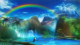 rainbow under perching bird digital wallpaper, landscape, trees, water