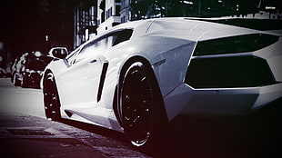 white sports car, Lamborghini, car