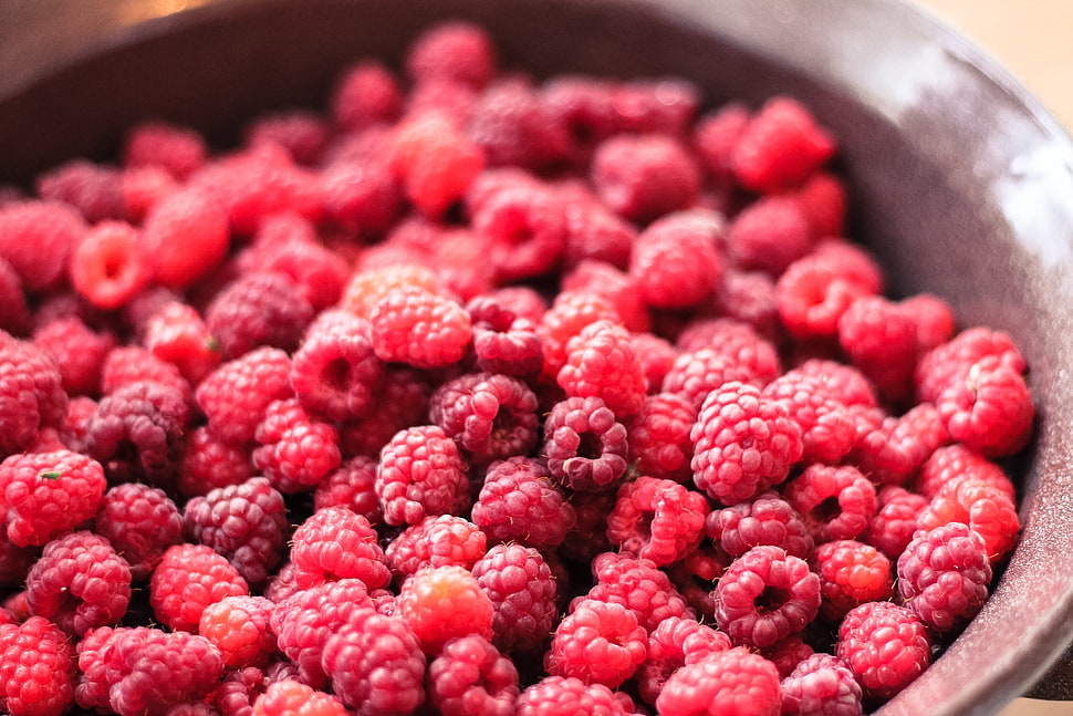 gray bowl with red berries HD wallpaper