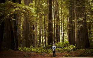 man standing behind green tall trees