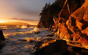 brown rock formation, nature, landscape, sea, waves