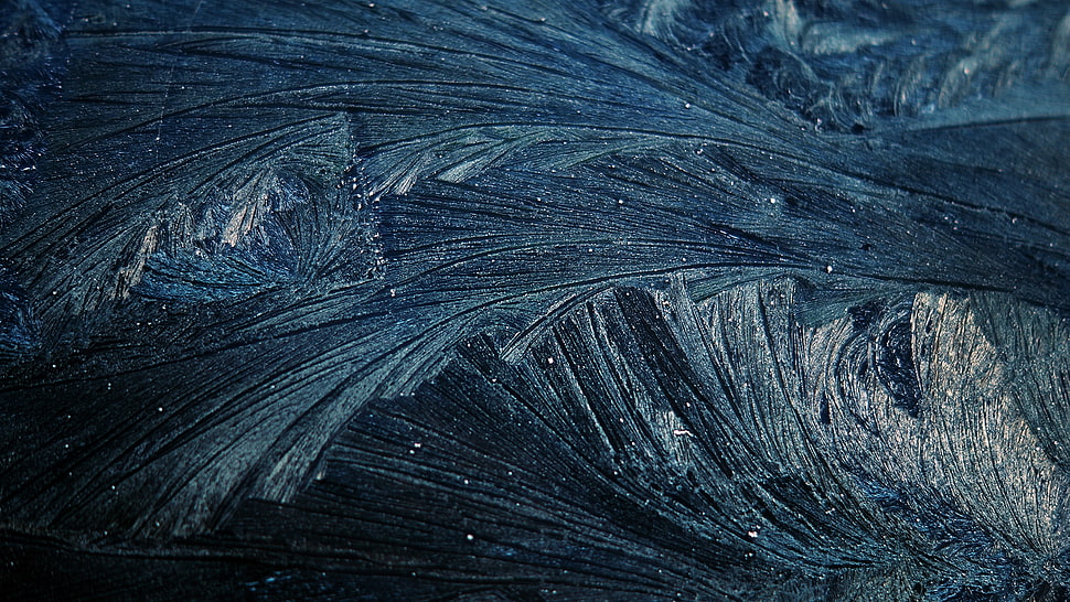 Pattern,  Frost,  Cold,  Twigs HD wallpaper