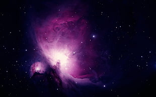 space photography of purple galaxy