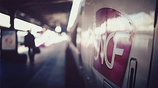 photography, depth of field, train, TGV HD wallpaper