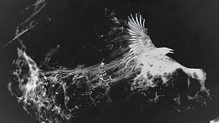 gray eagle digital wallpaper, birds, photo manipulation, smoke, monochrome