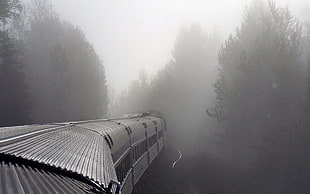 grey train, mist, train, vehicle HD wallpaper