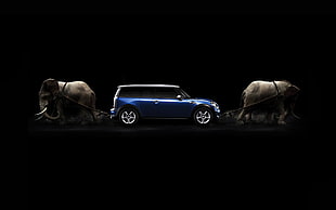 blue car illustration, black background, elephant, blue cars, vehicle