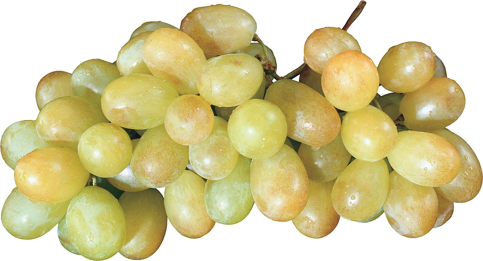 grape lot HD wallpaper
