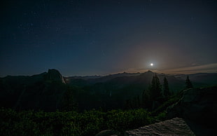 pine trees, landscape, sky, stars, Yosemite Valley HD wallpaper