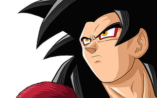 Son Goku Super Saiyan 4