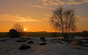 landscape photo snow covered ground during golden hour