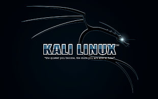 Kali Linux logo HD wallpaper