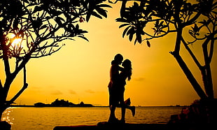 silhouette of couple near coast