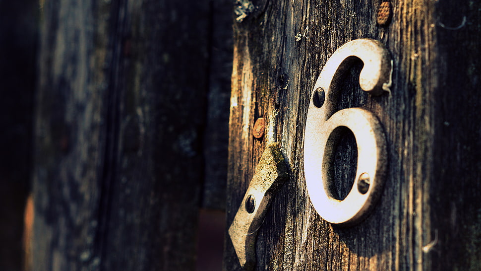 white 16 wall decor, depth of field, numbers, old, wood HD wallpaper
