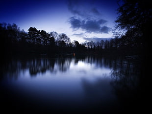 body of water, dark, forest, lake, river HD wallpaper