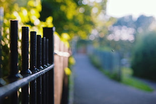 close-up photography of black metal fence
