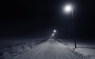 grayscale photography of farm road, night, winter, road, lamp