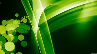 green abstract digital wallpaper