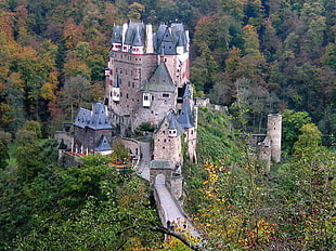 brown brick castle, Eltz Castle, Germany, forest, castle