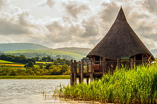 brown wooden hut near body of water, llangorse lake