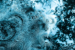 rain, drip, circle, water