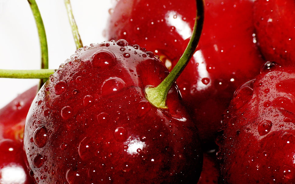 photography of red cherries HD wallpaper