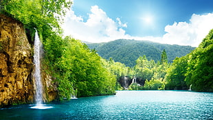 body of water between green forest and mountain