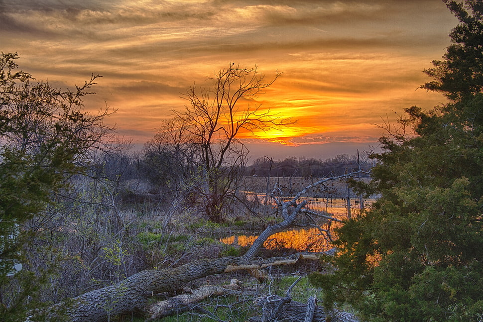 sunrise and river illustration HD wallpaper