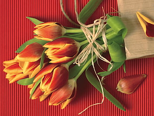 Tulips,  Flowers,  Flower,  Petals HD wallpaper