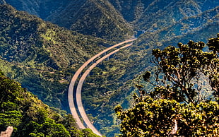 two roads between mountains and trees, landscape, nature, oahu, Hawaii