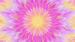 Round,  Bright,  Pink,  Patterns
