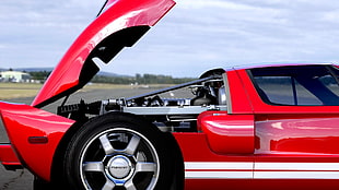 red Porsche Carrera GT coupe, Forza Motorsport, Forza Motorsport 4, Ford GT HD wallpaper