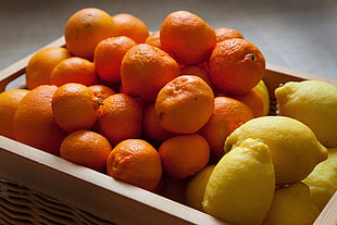 orange and lemon fruits HD wallpaper