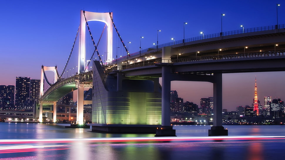 white bridge, city, bridge, Tokyo, Rainbow Bridge HD wallpaper