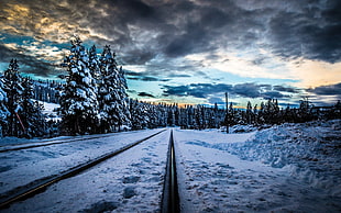 train rails surrounded by snow
