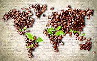 coffee beans world map artwork, coffee beans, world map HD wallpaper