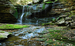 waterfalls, nature, green, water, moss HD wallpaper