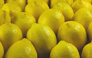 yellow round fruits HD wallpaper