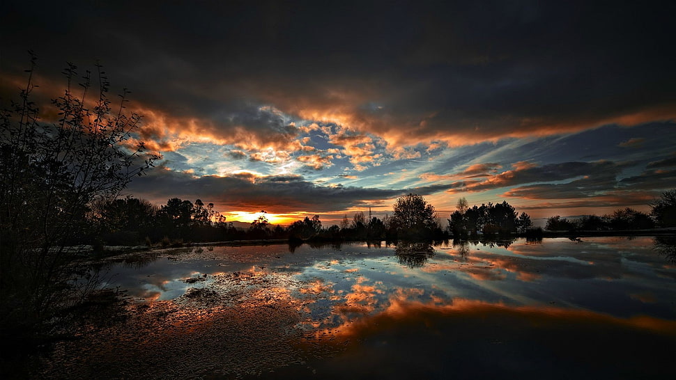 golden hour, sunset, nature, lake, trees HD wallpaper