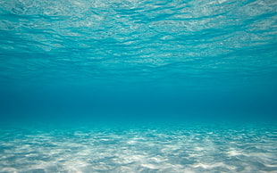 blue body of water, sea, underwater