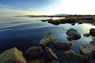 coastal rocks with calm body of water at daytime, ardrossan
