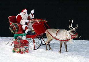Santa Claus with Reindeer figurine HD wallpaper